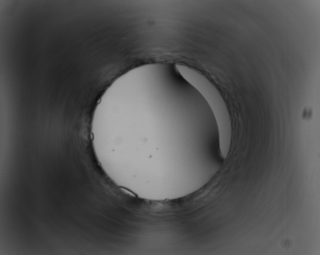 X0000102850768200809081243