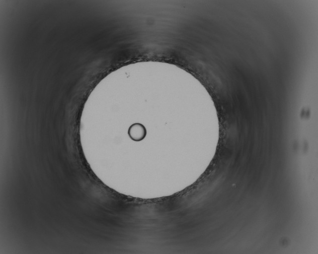 X0000102850769200809081242