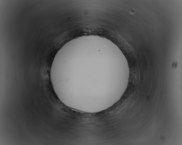 X0000102850770200809081242