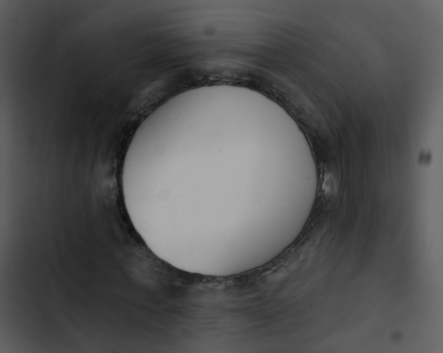 X0000102850771200809081242