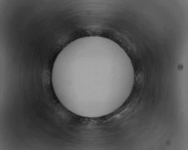 X0000102850772200809081242