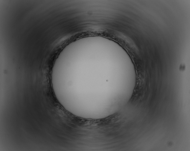 X0000102850773200809081242