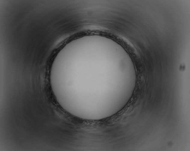 X0000102850775200809081242