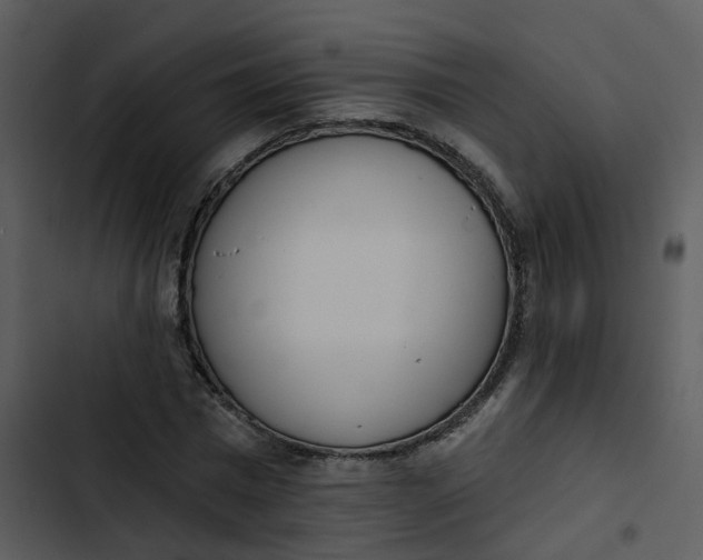 X0000102850777200809081242