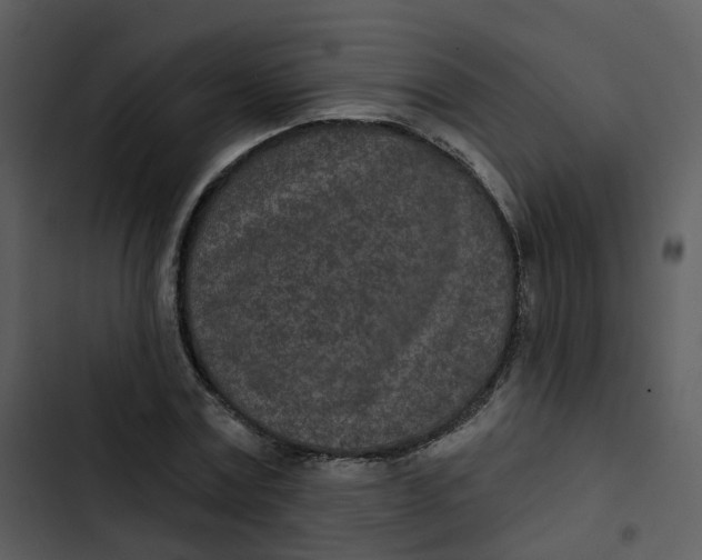 X0000102850779200809081242