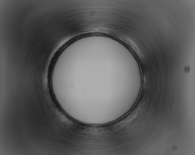 X0000102850780200809081242