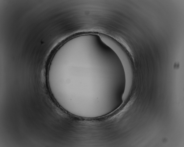 X0000102850781200809081242