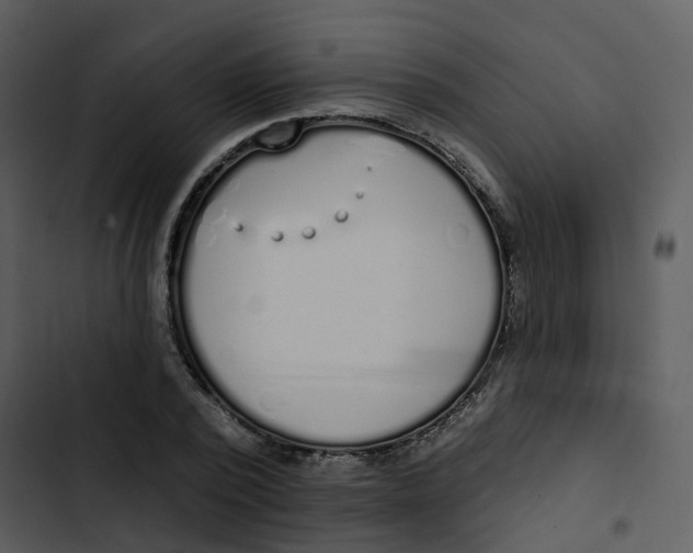 X0000102850784200809081242