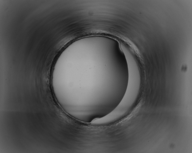 X0000102850785200809081242