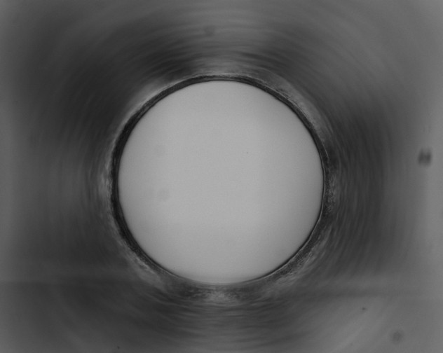 X0000102850787200809081242