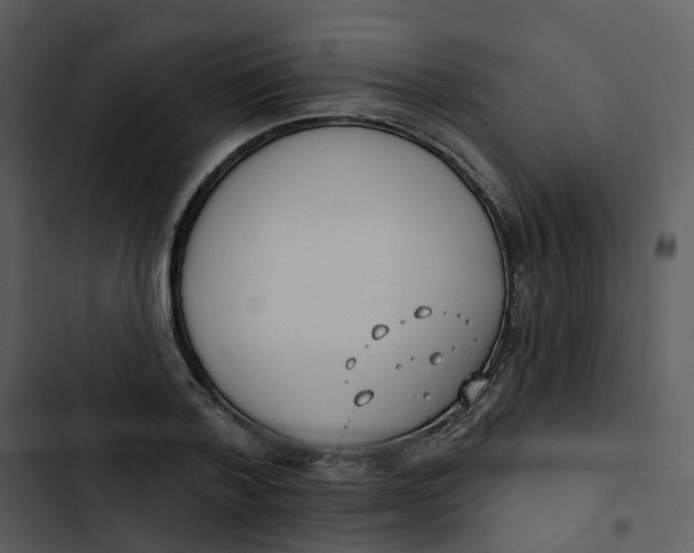 X0000102850788200809081242