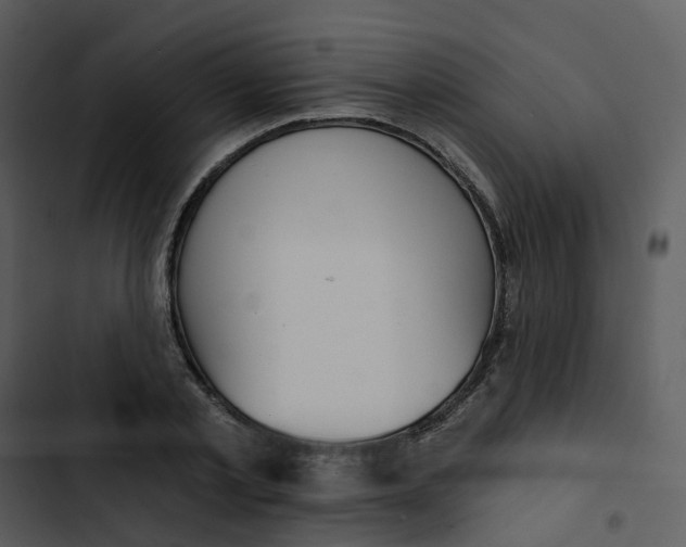 X0000102850789200809081242