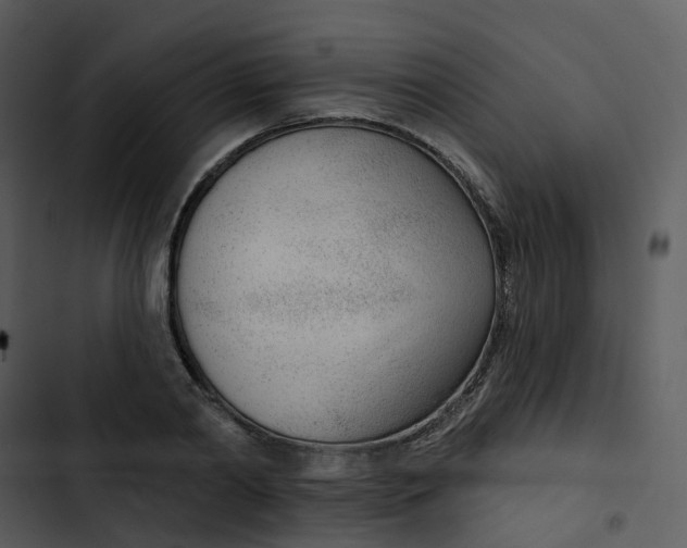 X0000102850790200809081242