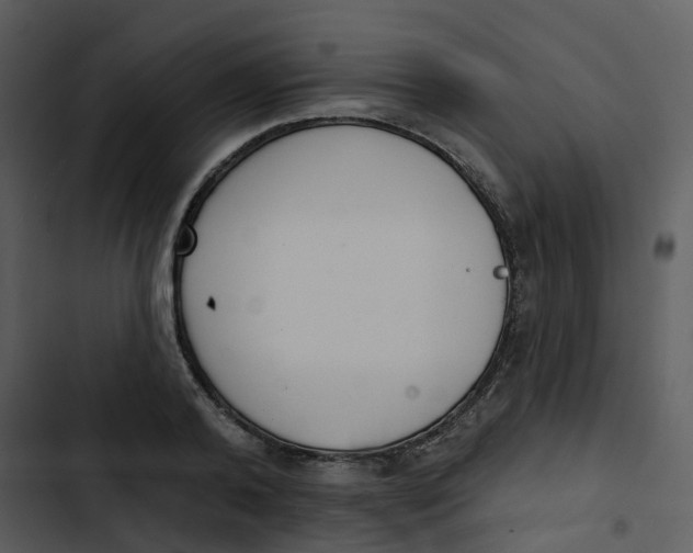 X0000102850792200809081242