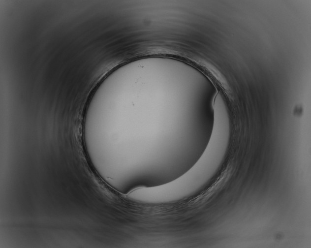 X0000102850793200809081242