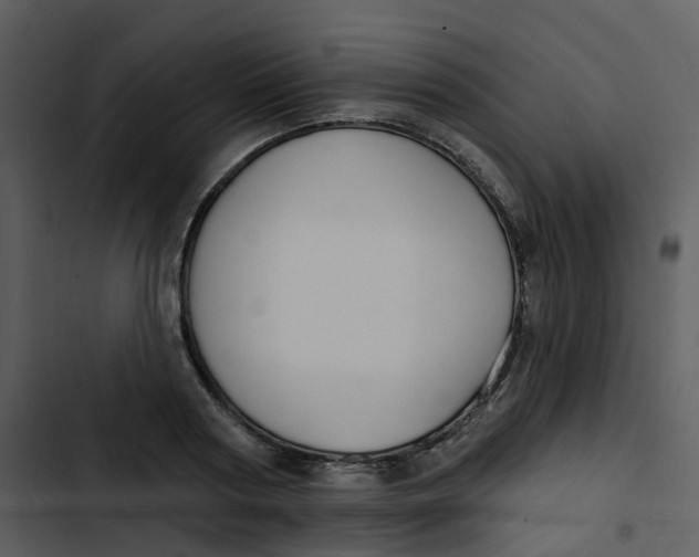 X0000102850794200809081242