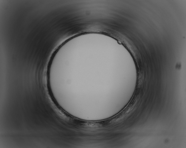 X0000102850795200809081242