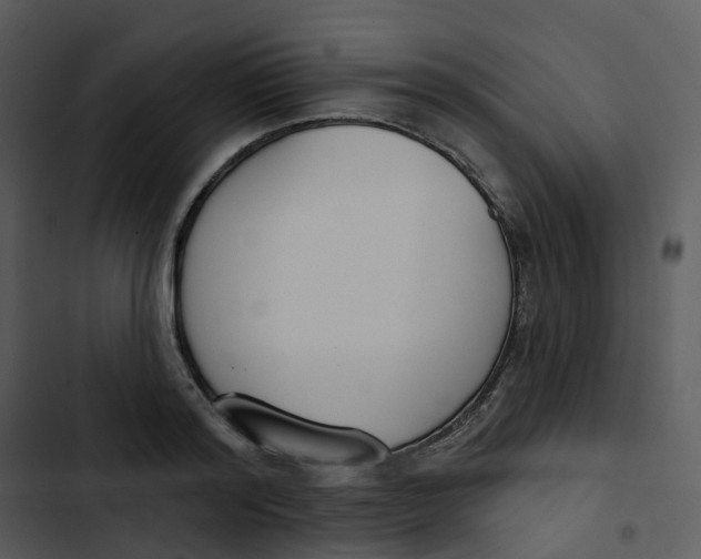 X0000102850796200809081242