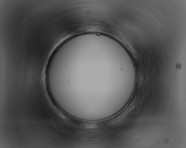 X0000102850798200809081242