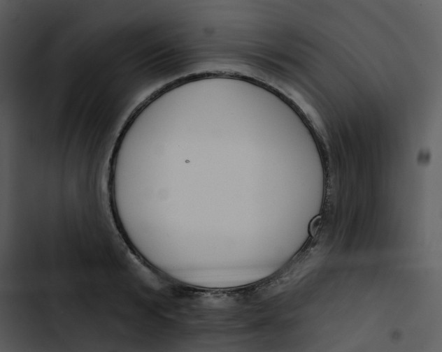 X0000102850799200809081242