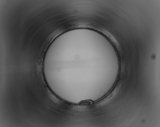 X0000102850801200809081242