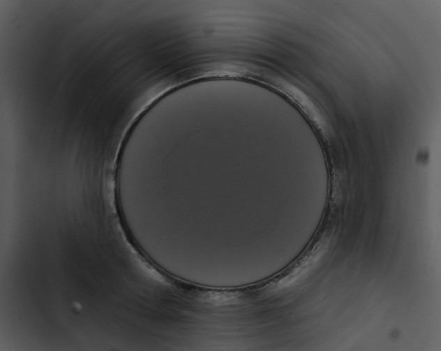 X0000102850802200809081242