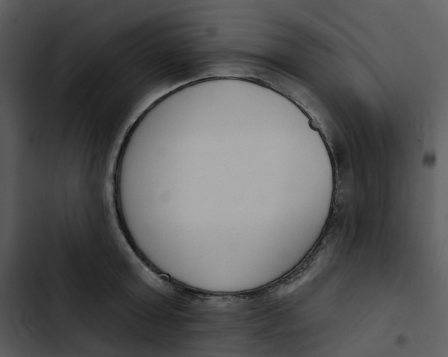 X0000102850803200809081242