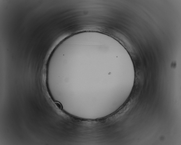 X0000102850804200809081242