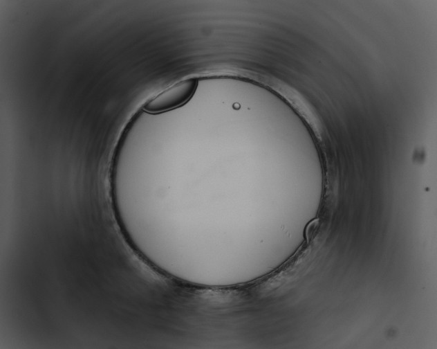 X0000102850805200809081242