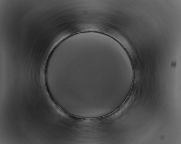 X0000102850806200809081242