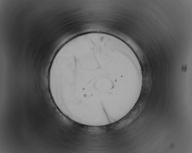 X0000102850807200809081242