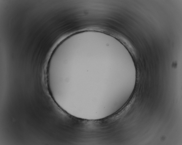 X0000102850808200809081242