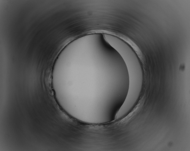 X0000102850809200809081242