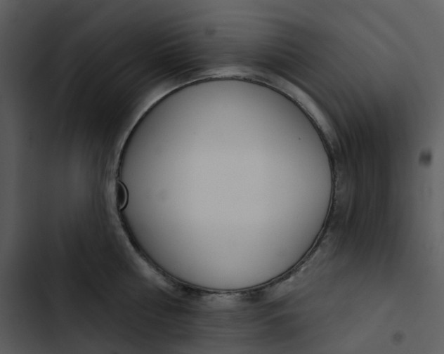 X0000102850810200809081242