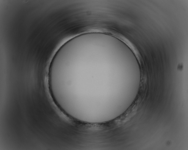 X0000102850811200809081242