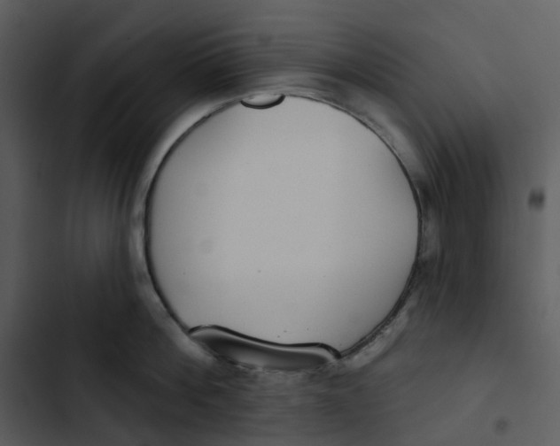 X0000102850812200809081242