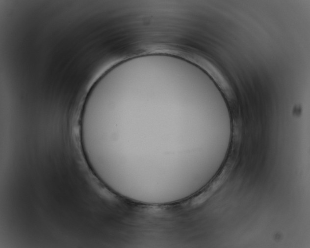 X0000102850814200809081242