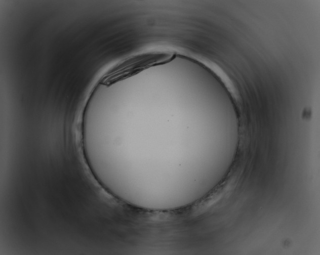 X0000102850815200809081242