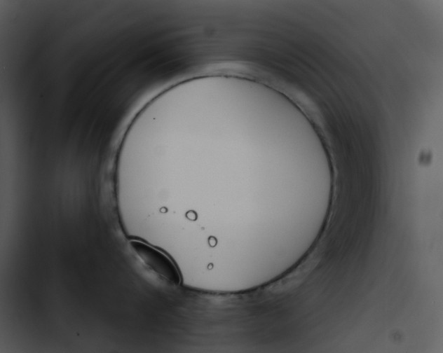 X0000102850816200809081242