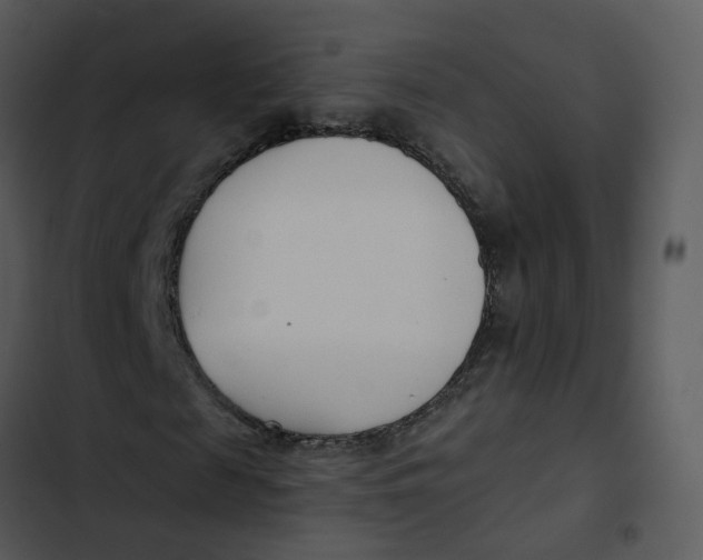 X0000102850817200809081241