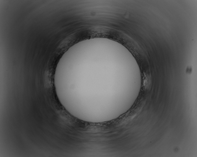 X0000102850819200809081241