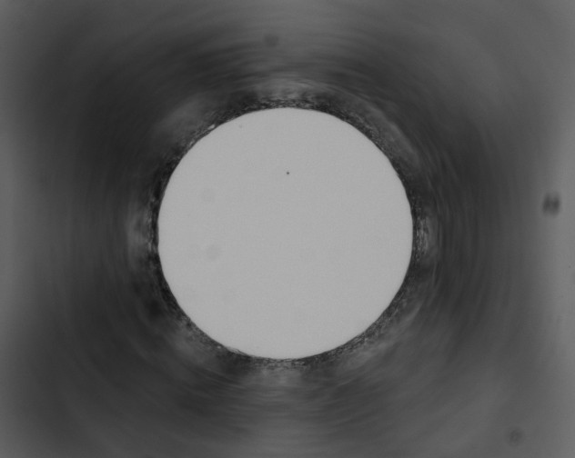 X0000102850820200809081241