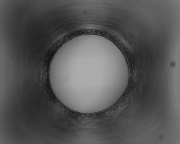 X0000102850821200809081241