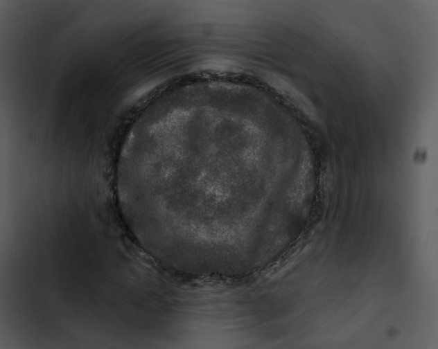 X0000102850822200809081241