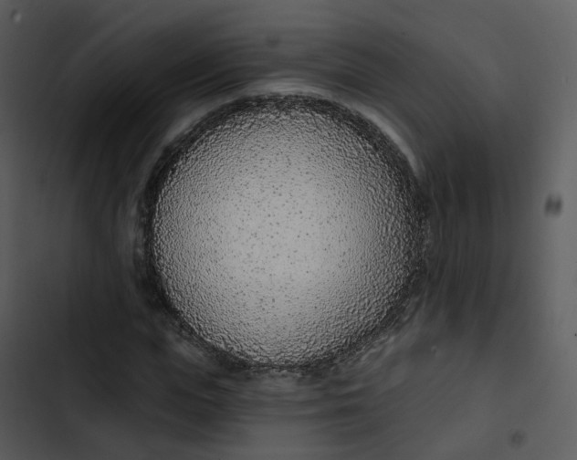 X0000102850823200809081241