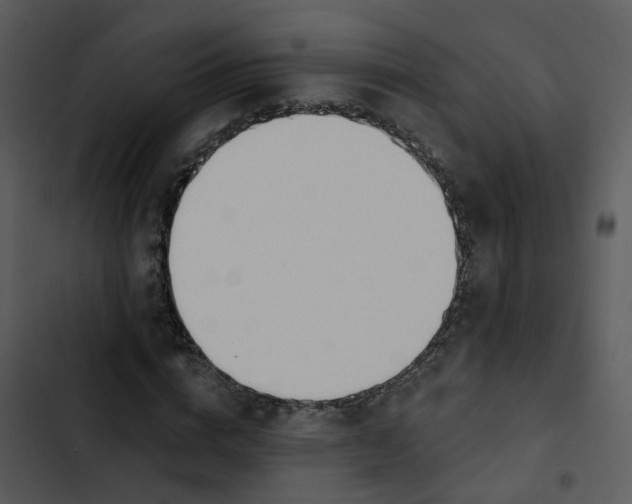 X0000102850824200809081241