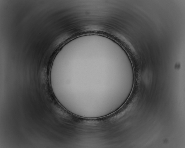 X0000102850825200809081241