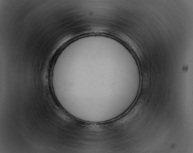 X0000102850827200809081241