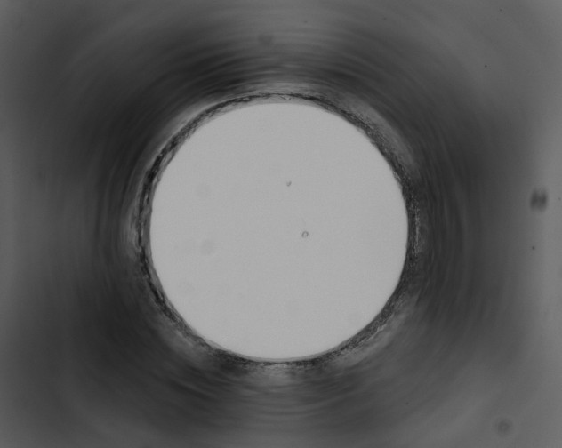 X0000102850828200809081241