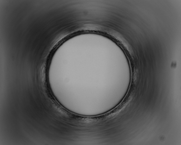 X0000102850829200809081241